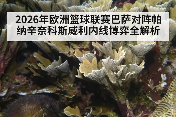 2026年欧洲篮球联赛巴萨对阵帕纳辛奈科斯威利内线博弈全解析